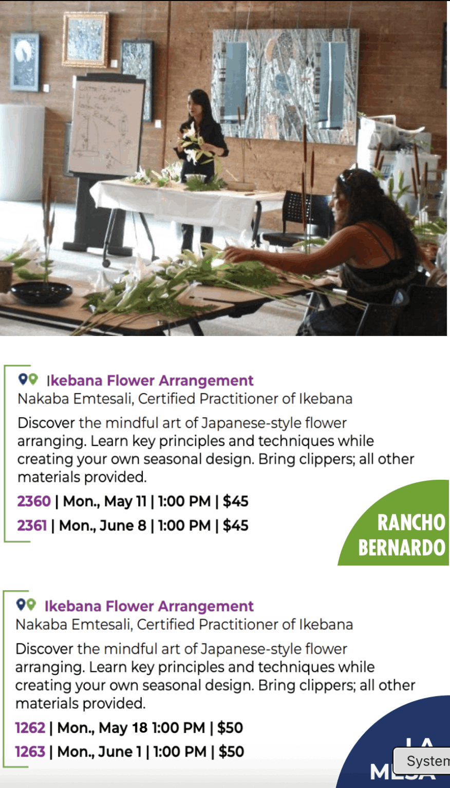 Ikebana Workshop by Nakaba Emtesali